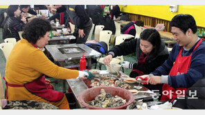 보령시 굴축제 25일까지 열려