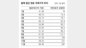 국내 철강값 줄줄이 인상…  일부 품목은 ‘사재기’