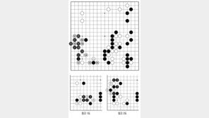 [바둑]역대 국수전 우승 결정국… 이세돌 9단의 진단