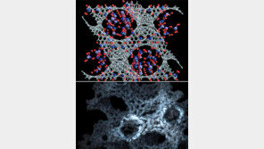 세계를 놀라게 한 한국 기초과학 산실 ‘IBS’