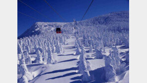 [여행, 나를 찾아서]일본으로 떠나는 ‘페리 여행’… 이동과 즐거움을 한번에