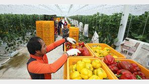 [공기업 감동경영]스마트 팜으로 농업 생산·유통·수출과정 혁신 