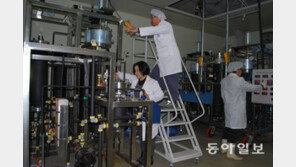 [영남 파워기업]야생초 이용 항노화 건강식품 생산… 2020년 ‘20억 매출’ 도전