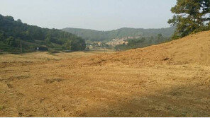 [스마트 컨슈머]‘삼성브레인시티’ 개발… 평택 들썩 