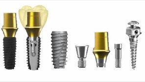 [한중 FTA]임플란트 中인허가 획득… 수출 청신호