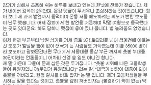 정미홍 전 KBS 아나운서 “태극기 바람으로 촛불 좀 끄자고 하면 안 되나”