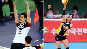 V리그 올스타전, 20일부터 팬투표 실시