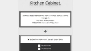 ‘키친 캐비닛’ 사이트 등장…헌재 탄핵 기각? 인용? “여론 전달하자”