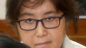 이외수 “최순실 혐의 전면 부인, 국민 바보로 안다는 뜻”