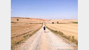 [화보]LG V20와 함께하는 ‘산티아고 순례길 여행’