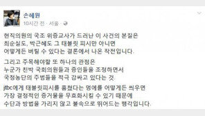 이만희·이완영 의혹…손혜원 “태블릿만 아니면 버틸 수 있단 결론서 나온 작전”