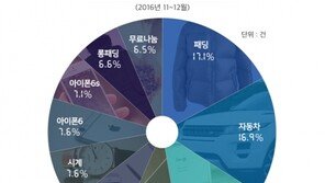 올해의 인기 중고 아이템은?…자동차, 노트북, 자전거, 시계, 아이폰 順
