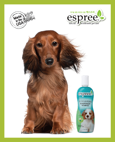 예민한 반려동물엔 ‘천연원료 샴푸’
