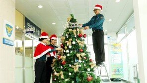 민원봉사실에 크리스마스트리 설치