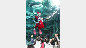 “와, 물속에 산타가 있네”