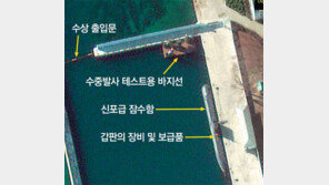 국방백서 “北SLBM 실전배치 가시화”