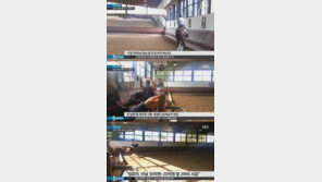 “삼성이 사준 말 타고 훈련”…정유라 獨 승마훈련 영상 공개