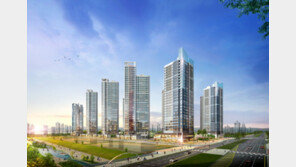 11·24 대책 피한 청라국제도시 아파텔 인기