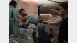 리차드 막스 “기내 난동 대처 미숙”…누리꾼 “남자 승무원 필수로 태우고 처벌 강화해야”