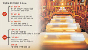 中 공급과잉 해소에 한숨 돌렸지만… 철강 ‘불안한 회복’