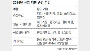 정부, LG화학 등 5곳 사업재편 승인