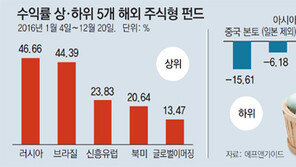 수익률 46%-44%… 올해 해외펀드는 단연 ‘러-브’