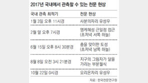 새해에도 우주쇼… 1월 3일 밤 ‘별똥별 잔치’