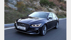 [CAR]고속주행에도 안정적인 코너링… 돌아온 준대형 세단의 황제