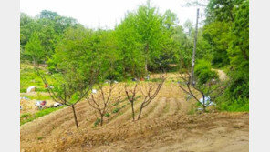 [Home&Dream]잠실까지 10분이면 OK! 하남 그린벨트 잡아라