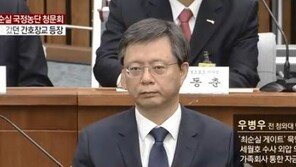 우병우, 정유섭 질의에 “최순실 현재도 모른다…기자, 놀라서 내려본 것”