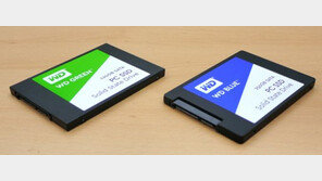 [리뷰] 원숙한 도전자, WD 그린 / 블루 SSD