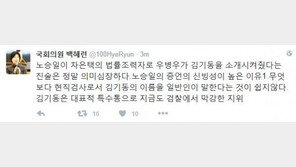 백혜련 “노승일, ‘우병우-차은택’ 진술 의미심장…일반인, 김기동 언급 쉽지 않아”