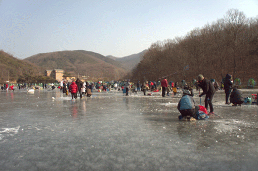 [엄마·아빠 어디가] 강화 빙어 송어 축제