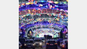 멋진 야경 연출하는 화천 선등거리