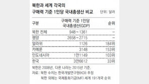 평양 1인당 GDP, 황해남도 2배 넘어