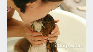 티몬, 반려동물 용품 직매입 서비스 ‘스위티펫샵’ 오픈