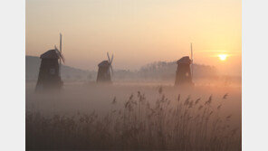 [Feeling]이국적인 풍차와 옛 소금창고 한 겨울 소래염전의 묘한 조화