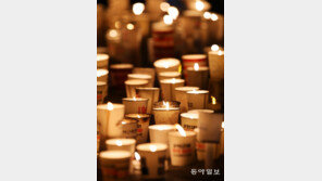 성탄 전야에도 촛불 집회, “근혜는 아니다” 캐럴…朴대통령은? “참모들과 케이크”