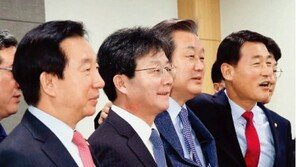 새누리당 깨지니  ‘제3지대 필승론’ 솔솔~