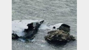 러 군용기 흑해에 추락 원인은 테러?…“오작동 보고 없고, 광 범위에 파편”