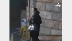 박영선 “우병우 장모 김장자, ‘구국봉사단’ 단원” 주장