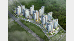 11.3대책으로 발묶인 수도권... 강원도 원주 지역 주목