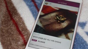 셀러문과 함께하는 감성 쇼핑 여행기, (1) 프랑스 파리