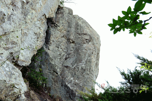 [이야기가 있는 마을①] 봉황산엔 어머니가 산다…자식들의 그리움에 묻혀