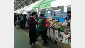 농산물 싸게 사 ‘손님 좋고’… 판로 걱정 덜어 ‘농가 좋고’