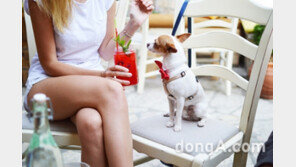 일(1)코노미 시대, 식음료업계 ‘패키지 트렌드’를 바꾸다