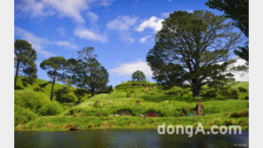 겨울방학, 호빗처럼 뉴질랜드 여행하기