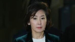 새누리 집단 탈당 원인 제공 나경원, 신당 참여 보류 왜?…“나꾸라지” 비판도
