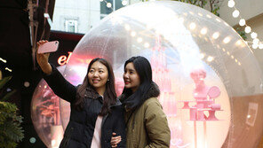 1인 가구시대…가성비·소형 전문점에 열린 지갑