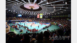 V리그 시청률, ‘최순실 외풍’ 견뎠다